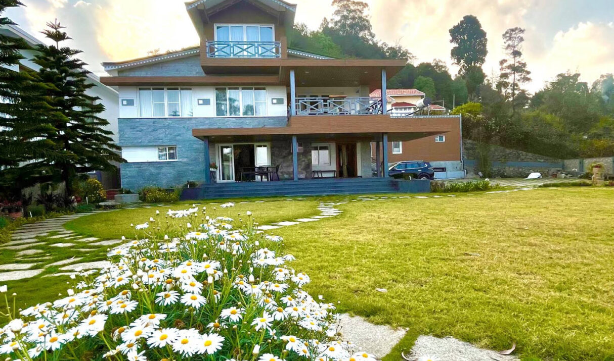 View from our Garden